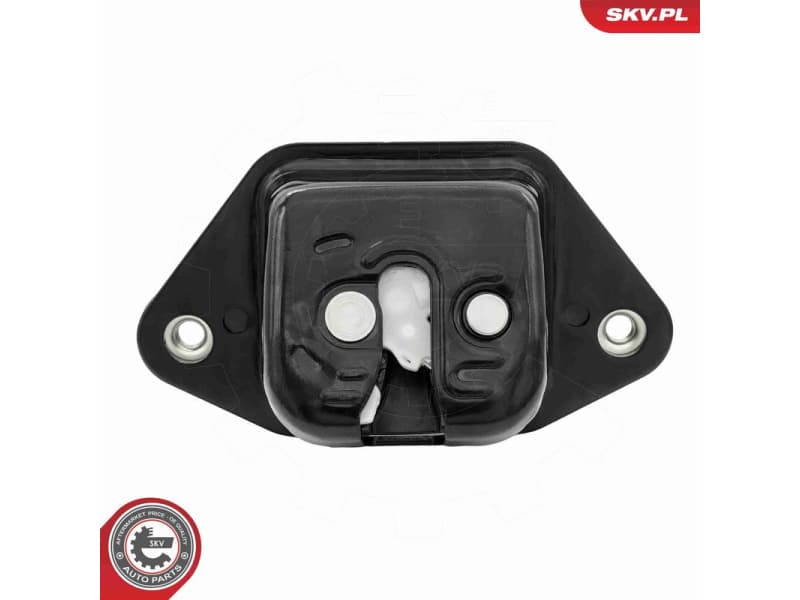 Tailgate Lock 60SKV654 - image 7