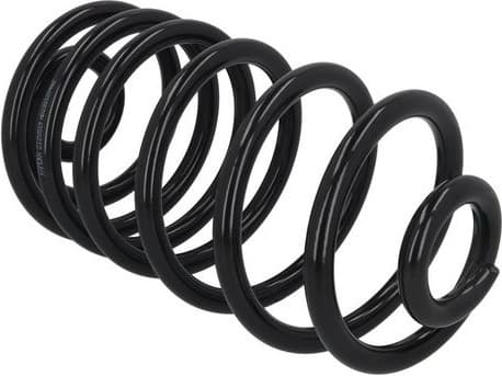 Suspension Spring 2120519
