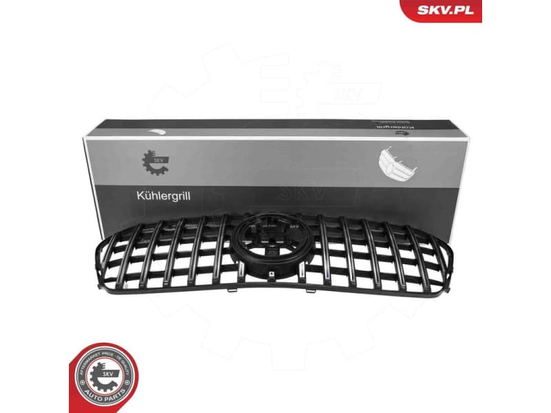 Radiator Grille 66SKV583