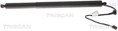 Gas Spring, boot/cargo area 8710 43301