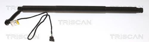 Gas Spring, boot/cargo area 8710 11311