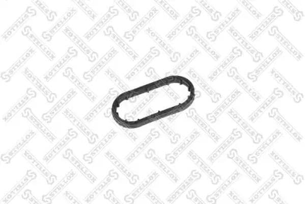 Gasket, oil cooler 11-25445-SX