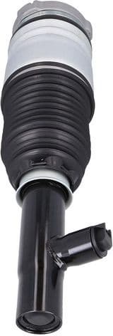 Air Suspension Strut 2070067 - image 2