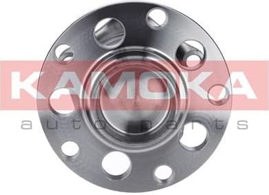 Bearing wheel 5500071