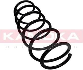 Coil spring 2110149