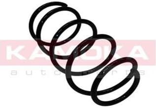 Coil spring 2110137