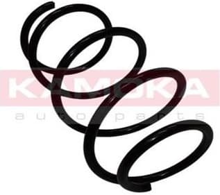Coil spring 2110111