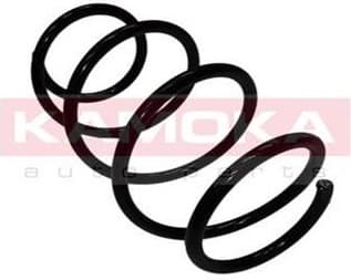 Coil spring 2110110