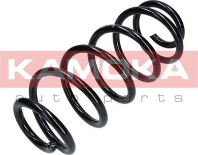 Coil spring 2110102