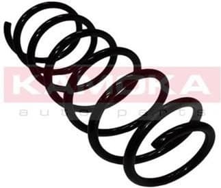 Coil spring 2110074