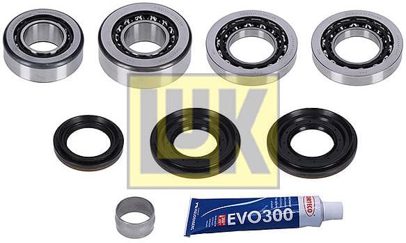 Repair Kit, differential LuK GearBOX 462 0216 10