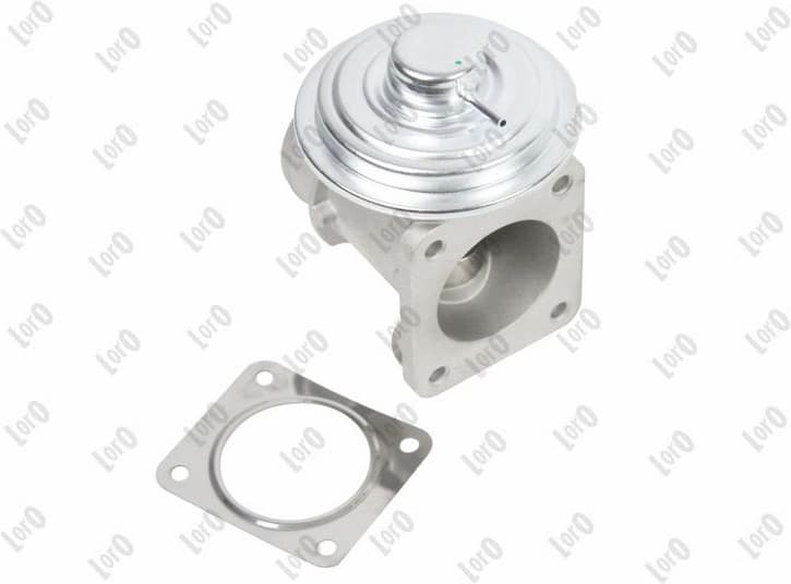 EGR Valve LORO 121-01-120