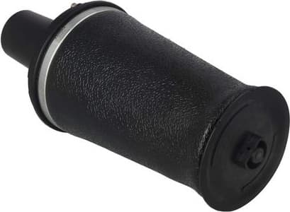 Air Spring, suspension 2079074