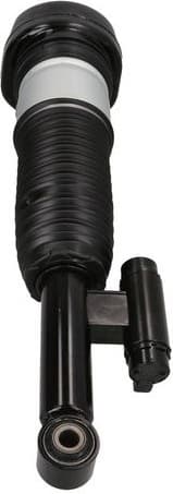 Air Suspension Strut 2070103 - image 2