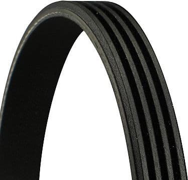 V-ribbed Belt 4PK560