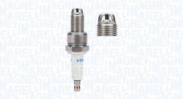 Spark Plug 062709000025