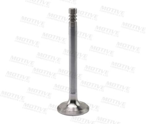 Exhaust Valve EV2759