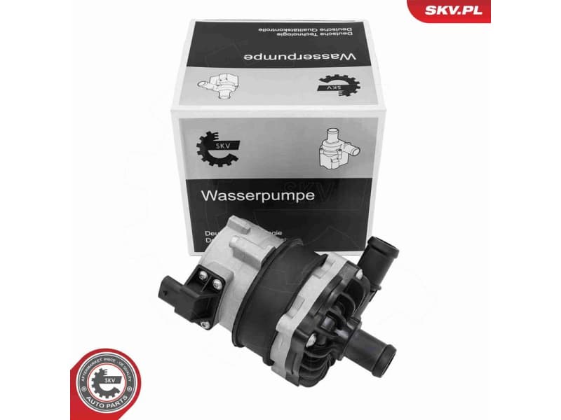 Auxiliary Water Pump (cooling water circuit) 22SKV086