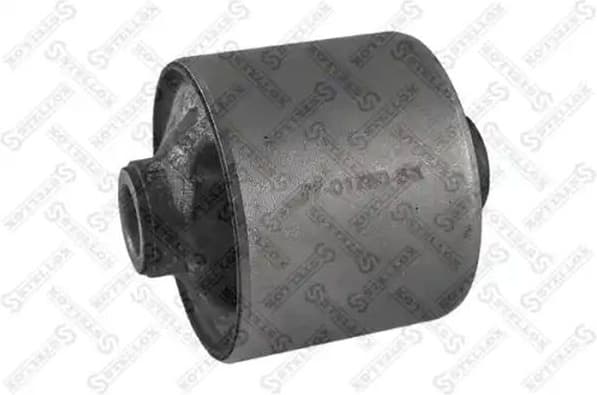 Mounting, transfer case 77-01750-SX