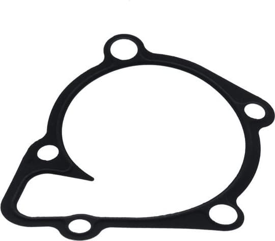 Water Pump, engine cooling 526006