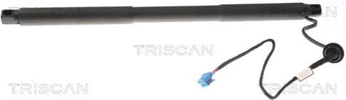 Gas Spring, boot/cargo area 8710 23304