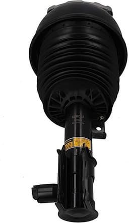 Air Suspension Strut 2070040