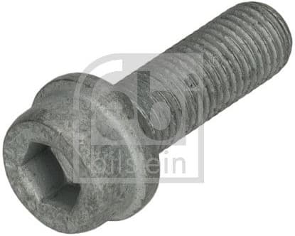 Bolt, brake caliper 185993