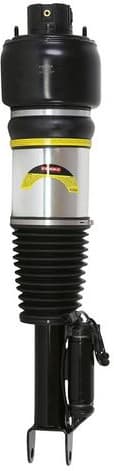 Air Suspension Strut 2070028