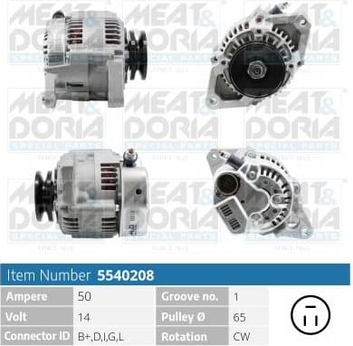 Alternator 5540208