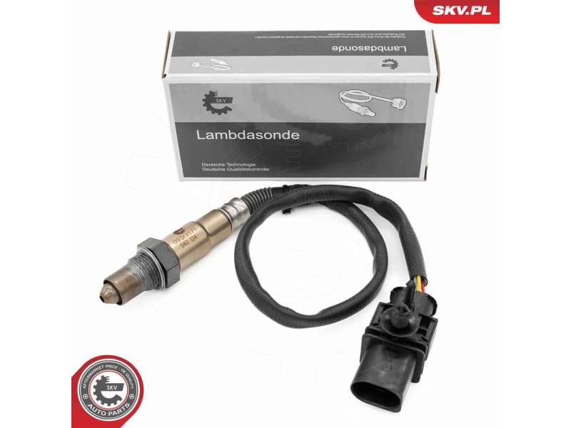 Oxygen Sensor 09SKV171