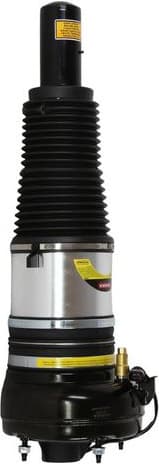 Air Suspension Strut 2070083
