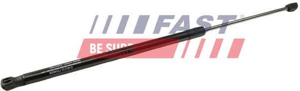 Gas Spring, boot/cargo area FT94809