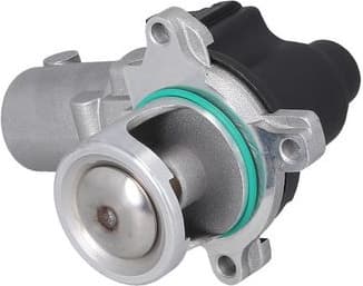 EGR Valve 19091