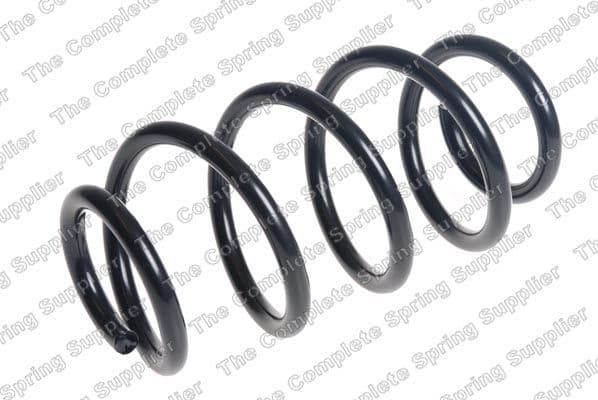 Suspension Spring 4256905