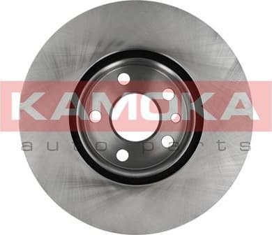 Brake discs kit front (2pcs) 1031086 - image 6
