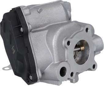 EGR Valve 19123 - image 2