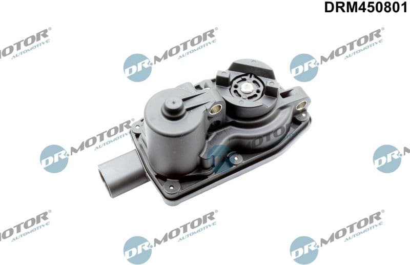 Control, swirl flaps (induction pipe) DRM450801