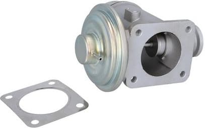 EGR Valve 19107