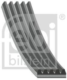 V-ribbed Belt 196074