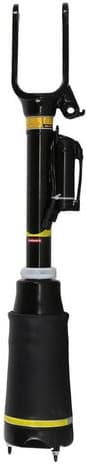 Air Suspension Strut 2070090