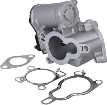 EGR Valve 19113