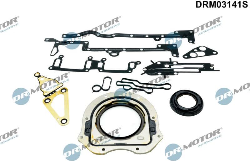 Gasket Kit, crankcase DRM03141S