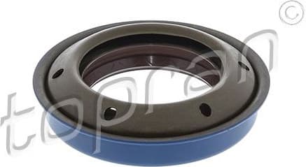 Seal differential-shaft 200 529