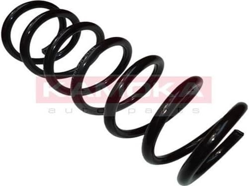 Coil spring 2120235