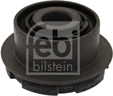 Mounting, control/trailing arm 10251