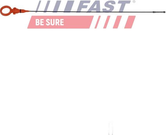 Oil Dipstick FT10956