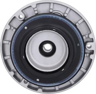 Repair Kit, suspension strut support mount 209362