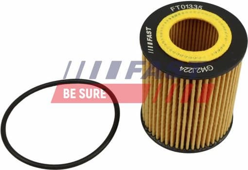Oil Filter FT01335