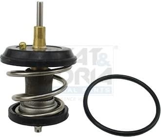 Thermostat, coolant 92616