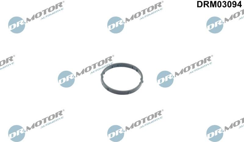 Gasket, thermostat housing DRM03094